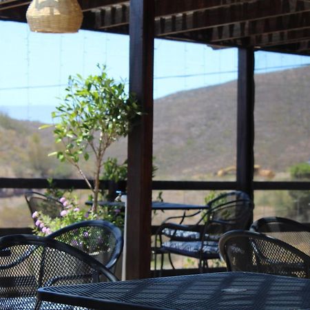 Vinas Del Castillo Ensenada Zewnętrze zdjęcie